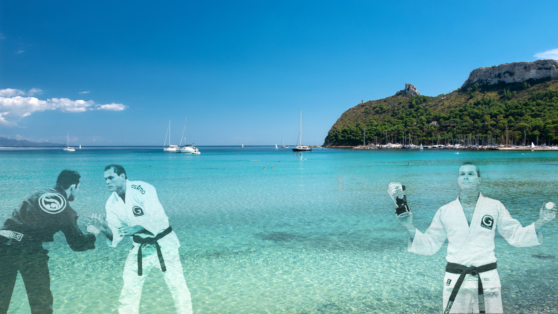 Roger Gracie Experience